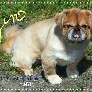 Meet your Posher, Barbara